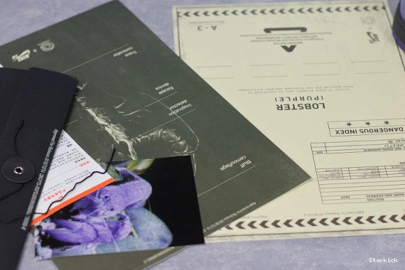 BV1310-555 Concepts Dunk Low SB Lobster Purple Nike 1008